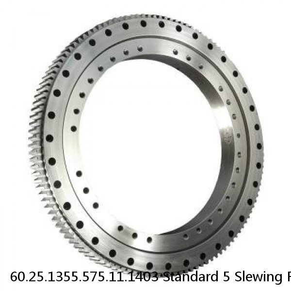 60.25.1355.575.11.1403 Standard 5 Slewing Ring Bearings