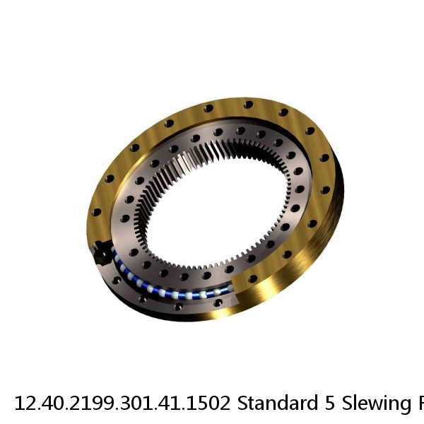 12.40.2199.301.41.1502 Standard 5 Slewing Ring Bearings