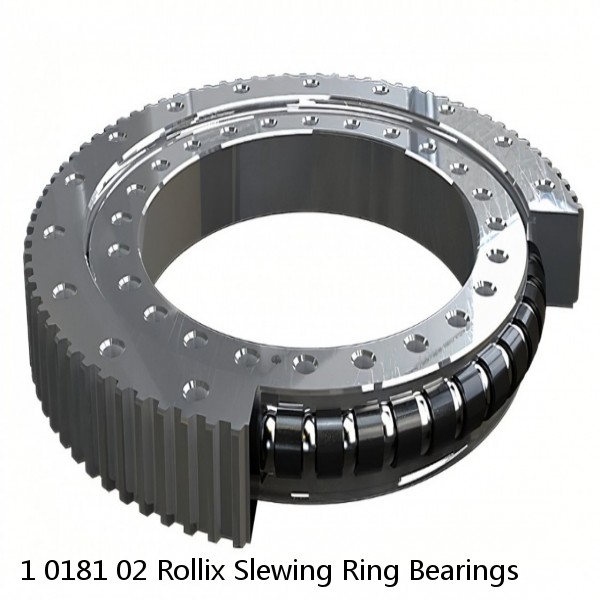 1 0181 02 Rollix Slewing Ring Bearings