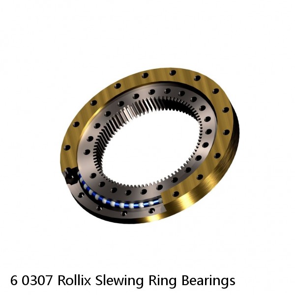 6 0307 Rollix Slewing Ring Bearings